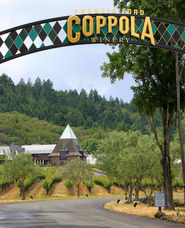 Coppola_IMG_0585_crop Coppola_IMG_0585_crop