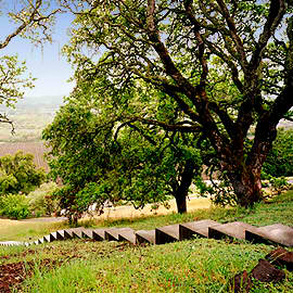 OliverRanch-tours-homebox-on 2 OliverRanch-tours-homebox-on 2