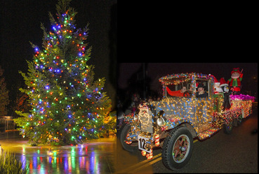 Lighted Tree and Winner CompositeFinal_2016_150 2 Lighted Tree and Winner CompositeFinal_2016_150 2